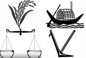 ফিচার