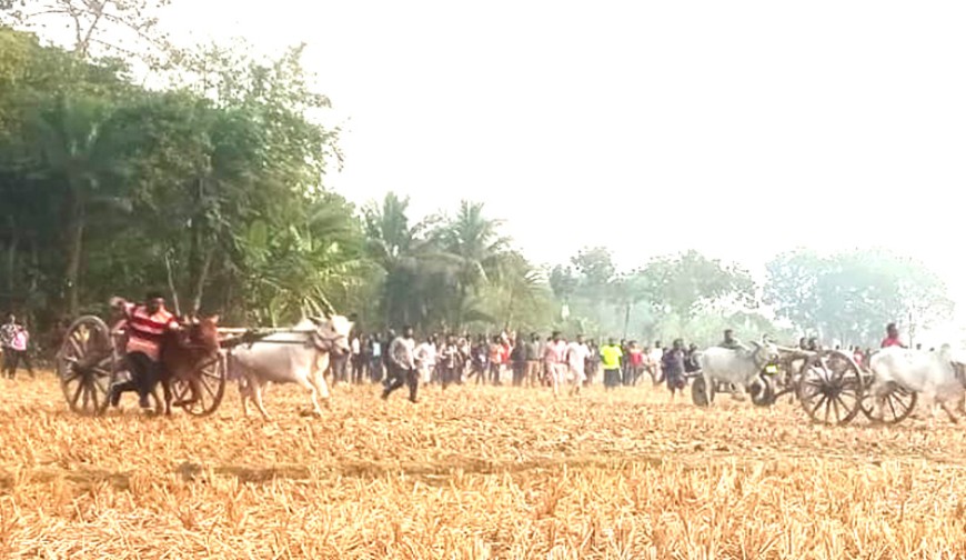 যন্ত্রের যুগেও হার মানেনি গাড়িয়ালদের ঐতিহ্য