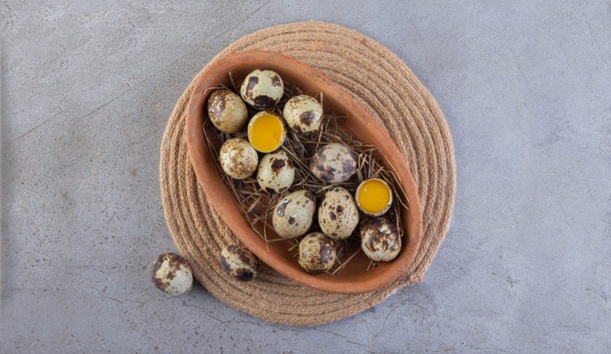 পুষ্টিগুণে এগিয়ে কোয়েলের ডিম