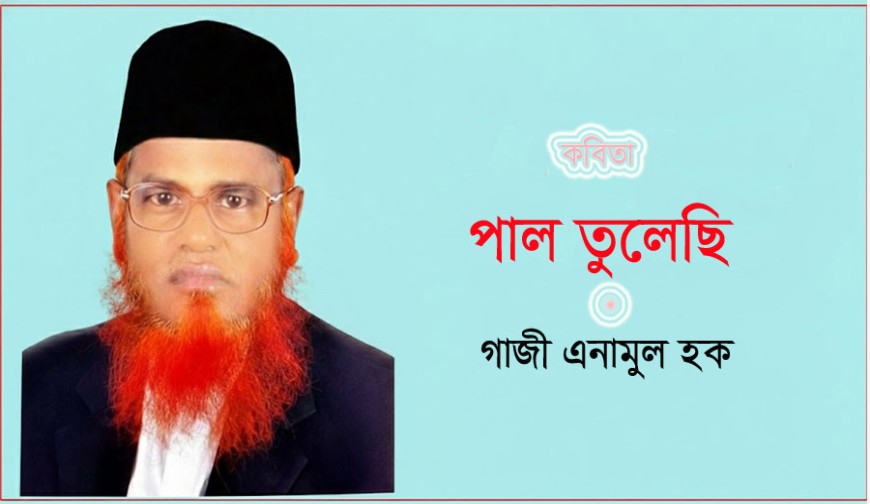 পাল তুলেছি