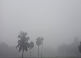 কুয়াশায় ঢাকা যশোরের সকাল: আশ্বিনের শেষেই শীতের আগমনী