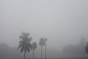 কুয়াশায় ঢাকা যশোরের সকাল: আশ্বিনের শেষেই শীতের আগমনী