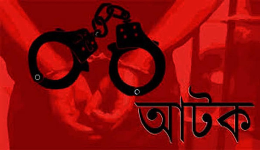 স্ত্রীকে মারপিটের অভিযোগে স্বামী আটক
