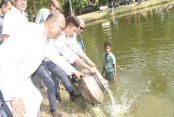 যশোর পৌরসভার উদ্যোগে পৌর পুকুরে বিভিন্ন প্রজাতির মাছের পোনা অবমুক্ত