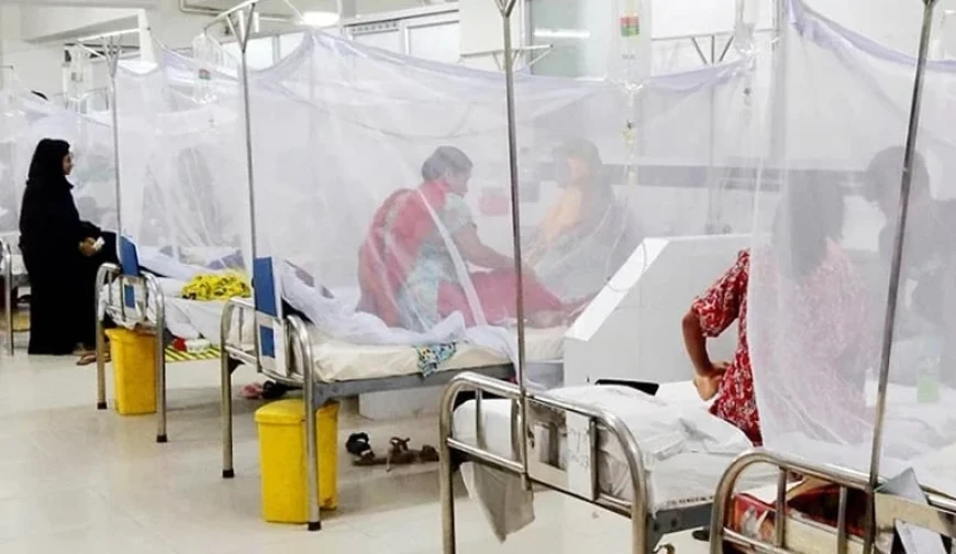 ডেঙ্গুতে ২৪ ঘণ্টায় আরও ৫ মৃত্যু, হাসপাতালে নতুন ভর্তি ১৮ শর বেশি