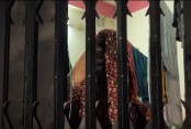 যশোরে মেয়েদের মেসে তুলকালাম