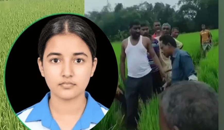 জীবন বাঁচাতে চার-পাঁচটি ধানক্ষেত জুড়ে দৌড়ে ছিল তাজমিন