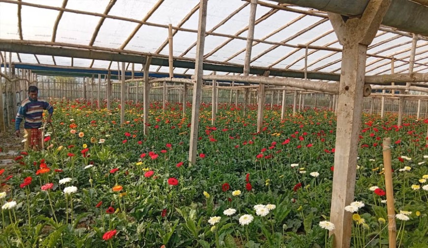 নির্বাচন : গদখালীর সব পার্ক ৭ দিনের জন্য বন্ধ ঘোষণা