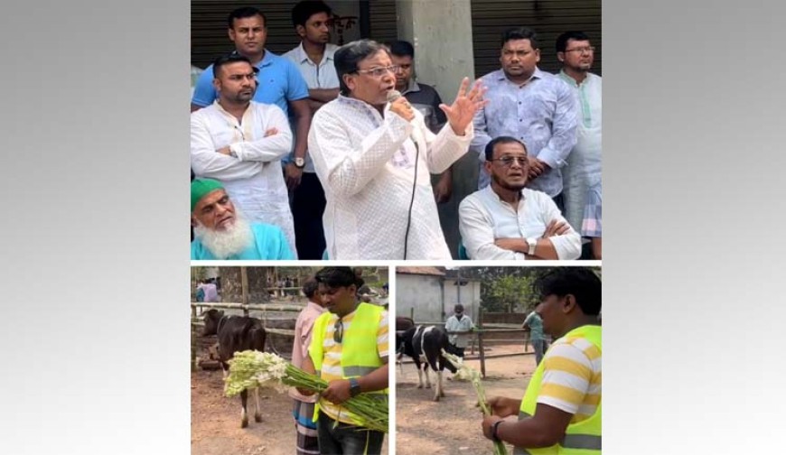 নাভারণের ঐতিহ্যবাহী পশুরহাট চালু হলো ফের