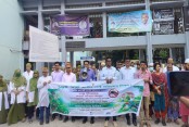 জাতীয় ডেঙ্গু প্রতিরোধ দিবস উপলক্ষে র‍্যালি ও পরিচ্ছন্নতা অভিযান