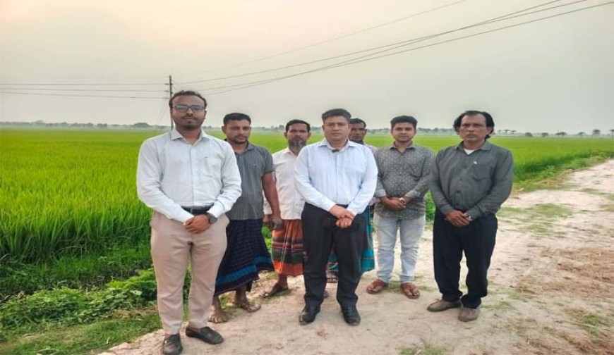 বোরো ধান ও সবজি জমি পরিদর্শনে কৃষি উপ-পরিচালক