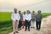 বোরো ধান ও সবজি জমি পরিদর্শনে কৃষি উপ-পরিচালক