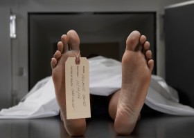 সাতক্ষীরা