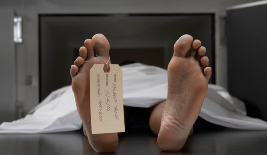 কলারোয়ায় প্রবাসীর স্ত্রী’র রহস্যময় দগ্ধ লাশ উদ্ধার