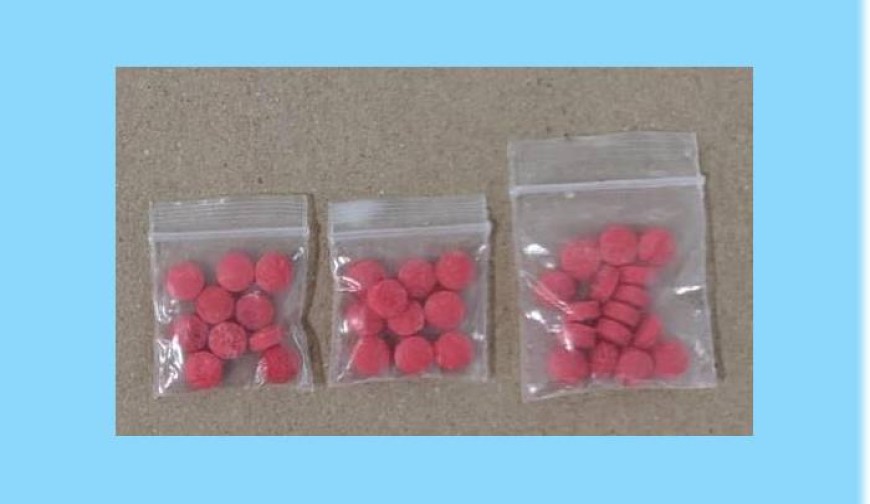 ইয়াবাসহ আটক মাদক ব্যবসায়ী কারাগারে