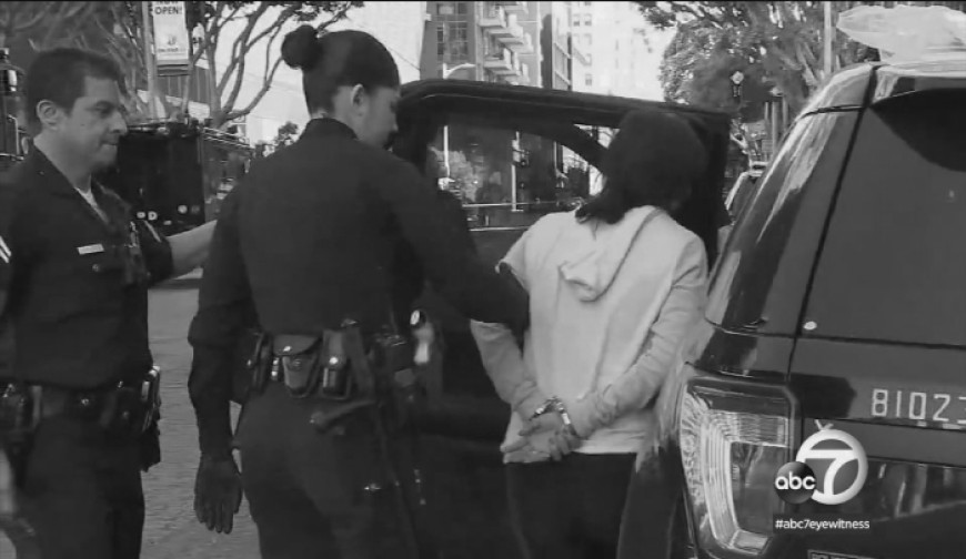 ইরানে অস্ত্র পাঠাতে সহযোগিতার অভিযোগ: লস অ্যাঞ্জেলসে মহিলা গ্রেপ্তার