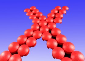 আইন-আদালত