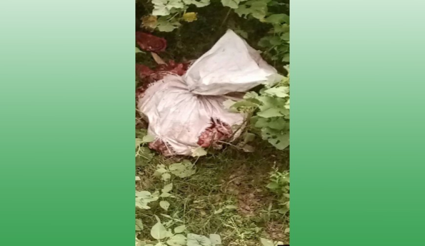 কোটচাঁদপুরে ব্রিজের নিচ থেকে বস্তাভর্তি মাংস উদ্ধার, এলাকায় গুঞ্জন