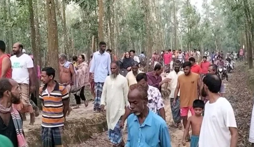 গাজীপুরে গরুচোর সন্দেহে ৩ জনকে পিটিয়ে হত্যা, ট্রাকে আগুন