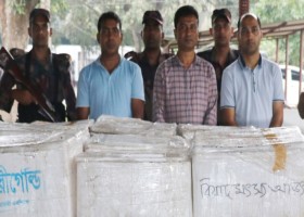 যশোরে বিজিবির অভিযানে ১১লাখ টাকার ১১শ' কেজি জেলি পুশ করা চিংড়ি জব্দ
