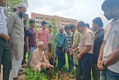 এমএম কলেজে ‘একজন ছাত্র, একটি গাছ’ কর্মসূচি