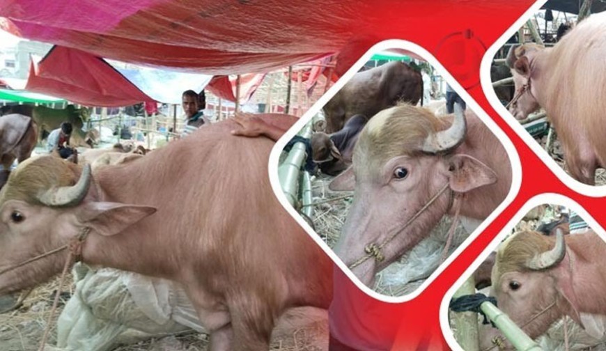 ট্রাম্পের পর এবার ‘কিম জং উন’