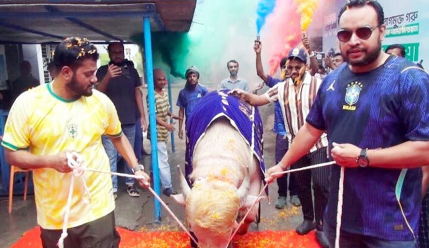 ‘ডোনাল্ড ট্রাম্প’-কে রাজসিক বিদায়, নতুন ঠিকানা জিনজিরার সামিরের বাড়ি