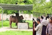 ‘ডোনাল্ড ট্রাম্প’কে দেখতে চিড়িয়াখানায় দর্শনার্থীদের ভিড়