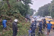 ঝড়ে লণ্ডভণ্ড পশ্চিমবঙ্গ, নিহত ৮