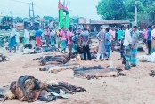 রাজারহাটে পানির দামে চামড়া বিক্রি!