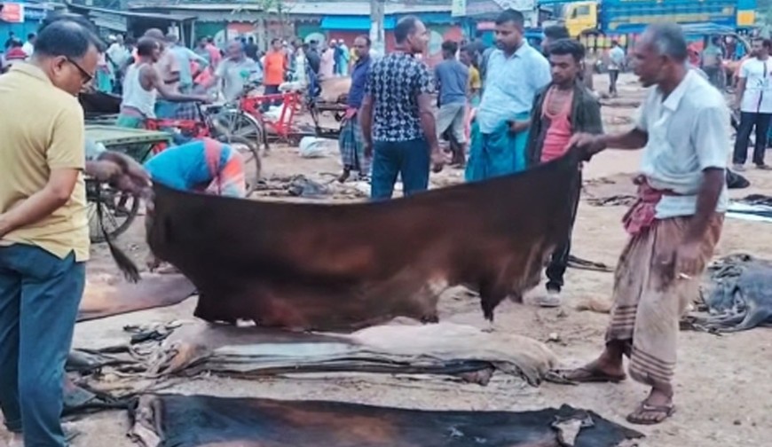 রাজারহাটে চামড়াবাজারে মন্দা, ‘লাম্পিস্কিন-পক্স’  অজুহাতে দাম কমানোর অভিযোগ