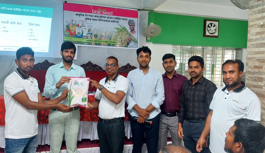 হাইব্রিড ধানের ফলন বৃদ্ধিতে শার্শায় ব্র্যাকের বিশেষ কর্মশালা