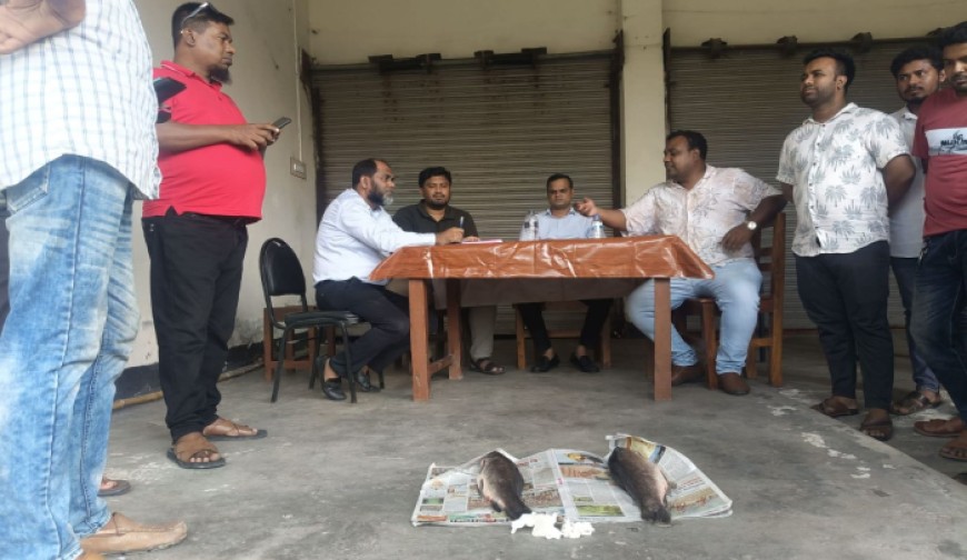 কাস্টমসের অভিযানে আটক ৭৩০ কেজি ভারতীয় রুই মাছ নিলামে