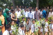 লক্ষ্য ৫ বছরে ২৫ কোটি বৃক্ষরোপণ: যশোরে শিক্ষার্থীদের মাঝে চারা বিতরণ