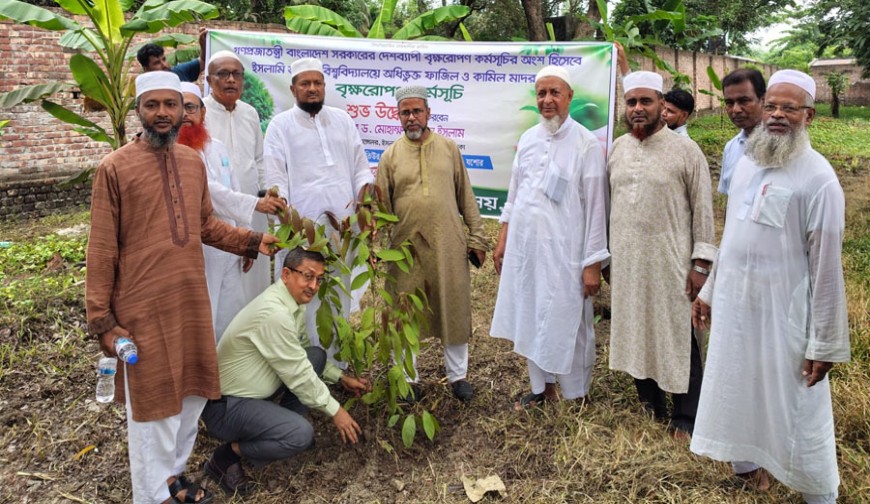 ইসলামি আরবি বিশ্ববিদ্যালয়ের দেশব্যাপী বৃক্ষরোপণ কর্মসূচির উদ্বোধন যশোরে