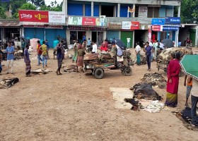 রাজারহাটে কোরবানি-পরবর্তী দ্বিতীয় হাটে ৫ হাজার চামড়াও ওঠেনি, পাচারের শঙ্কা
