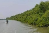 সুন্দরবনে ‘দুলাভাই বাহিনীর’ সাথে কোস্ট গার্ডের গোলাগুলি, নিহত ১