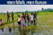 ৩ সীমান্তে ৬০ জনকে ঠেলে পাঠানোর চেষ্টা, বিজিবির বাধায় নো ম্যান্স ল্যান্ডে অবস্থান