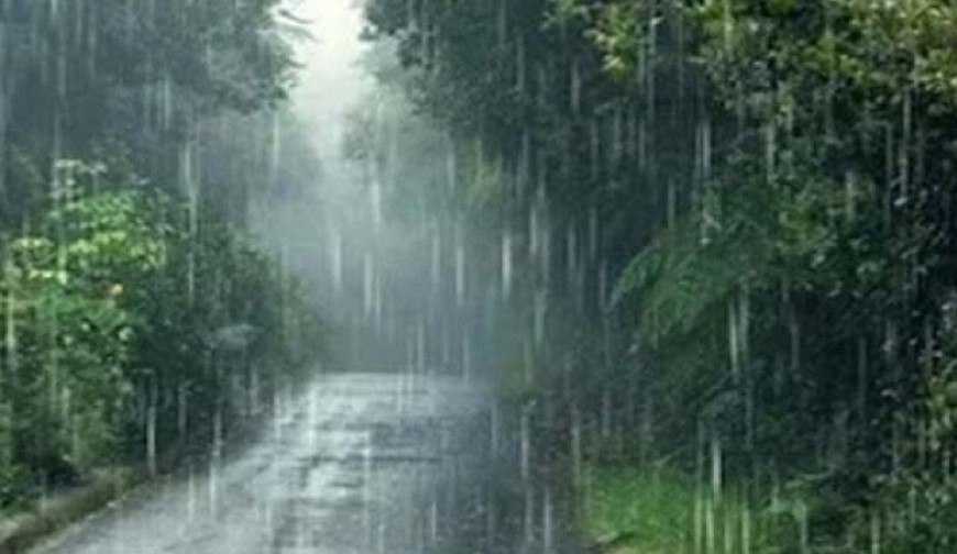 যশোরসহ ১৯ অঞ্চলে রাতের মধ্যে ঝড়-বৃষ্টির পূর্বাভাস