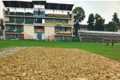 যশোর স্টেডিয়ামের উইকেটে দুর্বৃত্তদের তাণ্ডব: নষ্ট হলো বিসিবির ৪ লাখ টাকার প্রজেক্ট