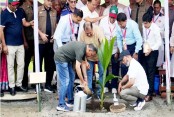 গৌর গৌরনদীতে প্রধানমন্ত্রীর বৃক্ষরোপণ