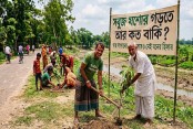 সবুজ যশোর গড়তে আর কত বাকি