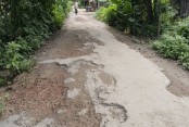 ঝিনাইদহ