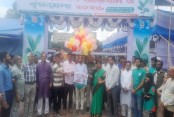 যশোরে সপ্তাব্যাপী বৃক্ষমেলা শুরু