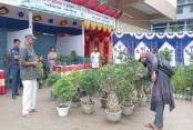 যশোরের জমে উঠেছে বৃক্ষমেলা