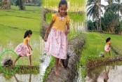 শিশুর কোলে গন্ধগোকুল, পেছনে সজারু: ভাইরাল ভিডিওটি বাংলাদেশের নয়
