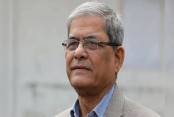 রাষ্ট্রপতি পদে বিএনপির মনোনয়ন পেলেন মির্জা ফখরুলই