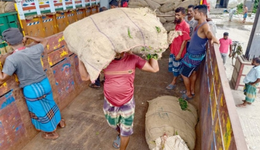 বেনাপোল দিয়ে ১০ দিনে আমদানি ২৩৩ টন  ৩০০ টাকার কাঁচা মরিচ এখন ১০০টাকা
