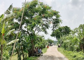 ফিচার