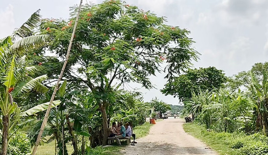 ১৯৭১ সাল স্মরণে ১৯৭১টি বৃক্ষ
